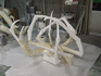 DSC08539.jpg