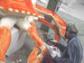 DSC08594.jpg