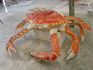 DSC08596.jpg