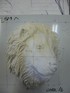ライオン２.jpg